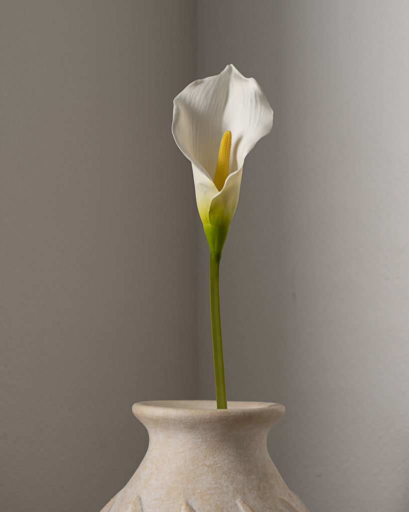 Calla Lily Flower