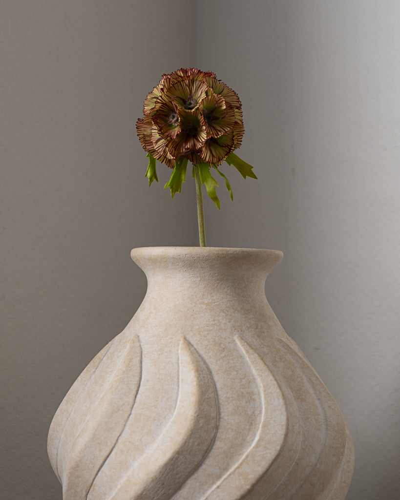 Scabiosa Seed Pod Flower