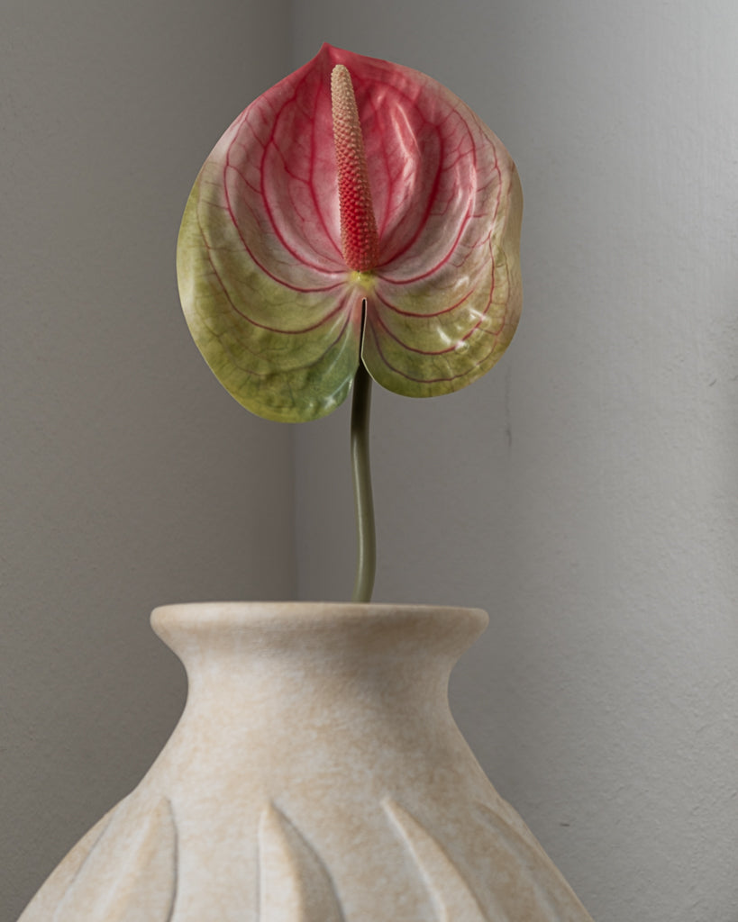 Anthurium Flower