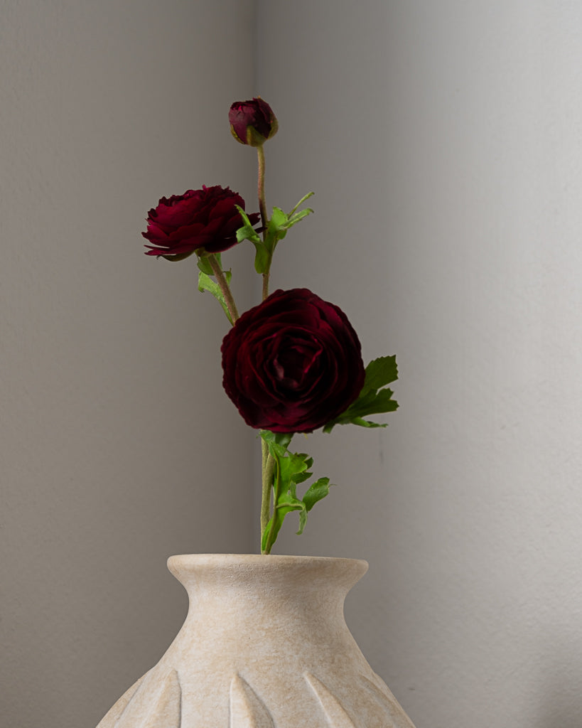 Ranunculus Flower