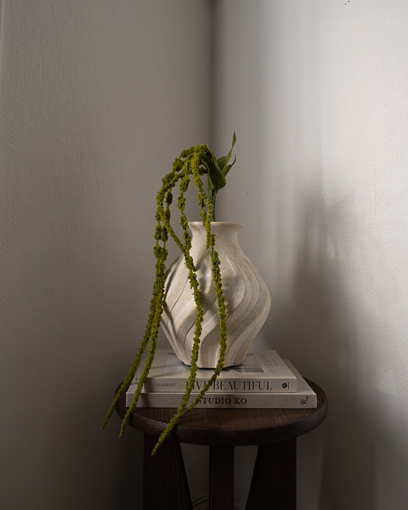 Amaranthus Flower 