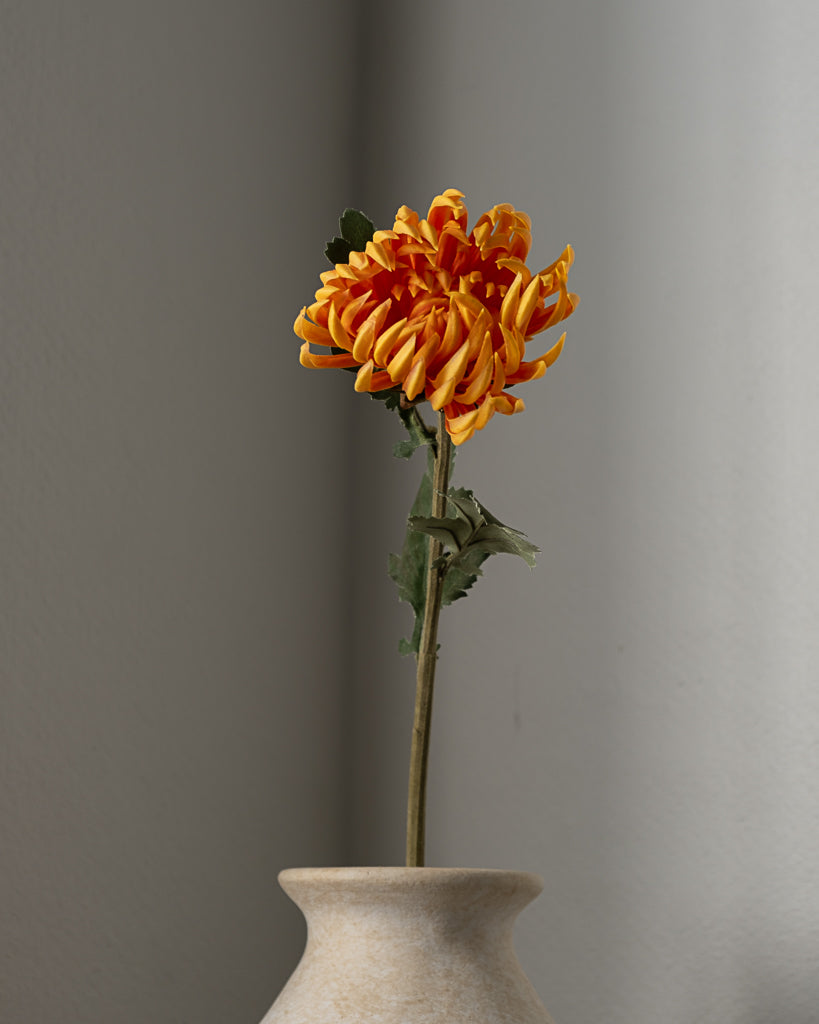 Chrysanthemum Flower