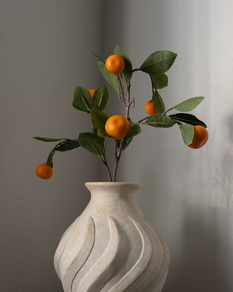 Orange Fruit Tree Branch