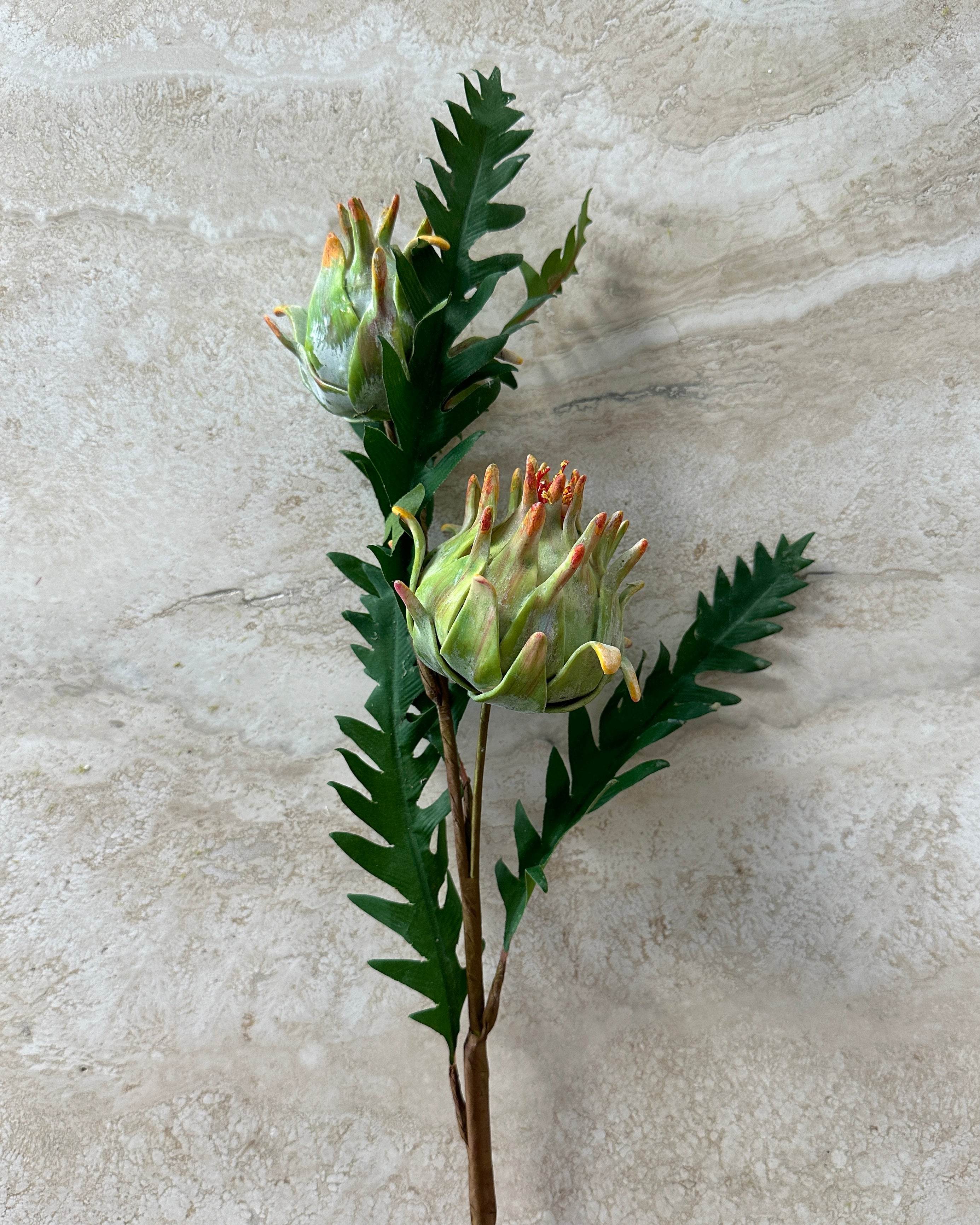 Artichoke Flower