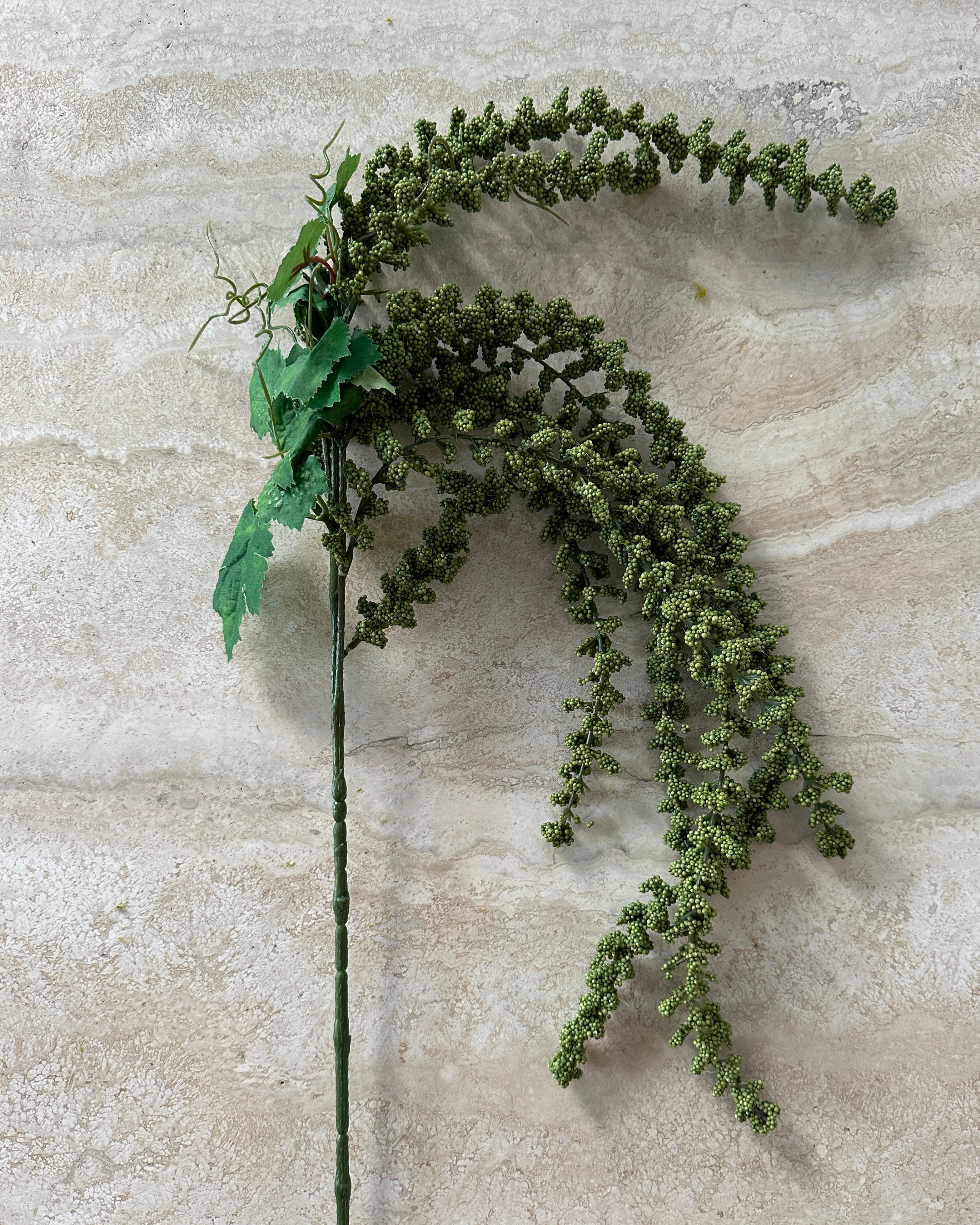 Amaranthus Flower