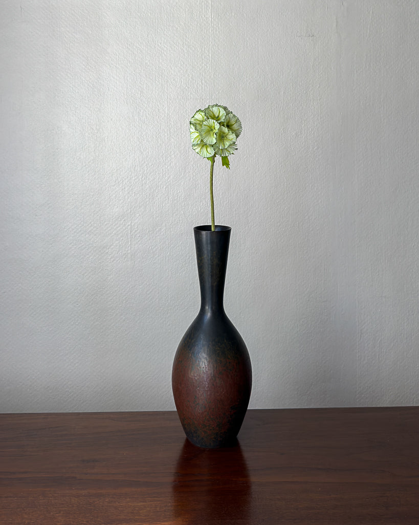 Scabiosa Seed Pod Flower