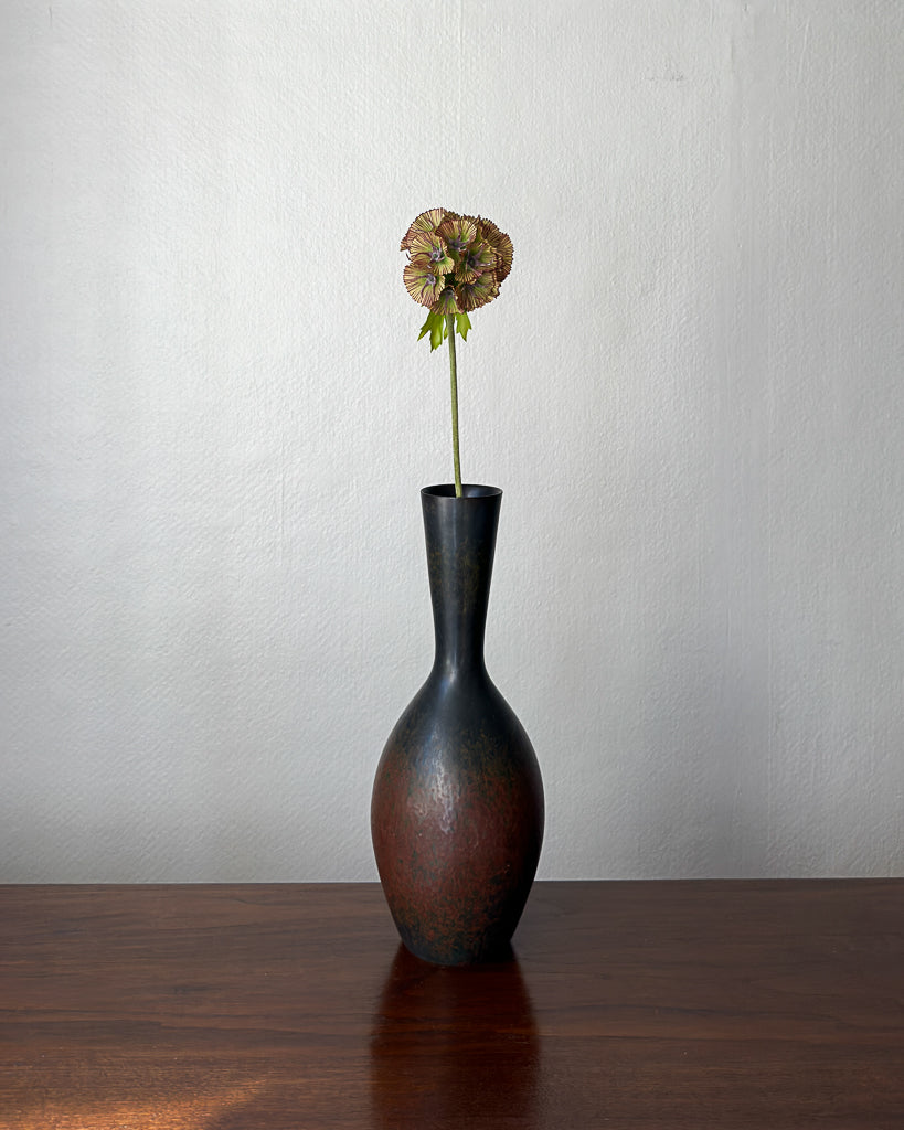 Scabiosa Seed Pod Flower